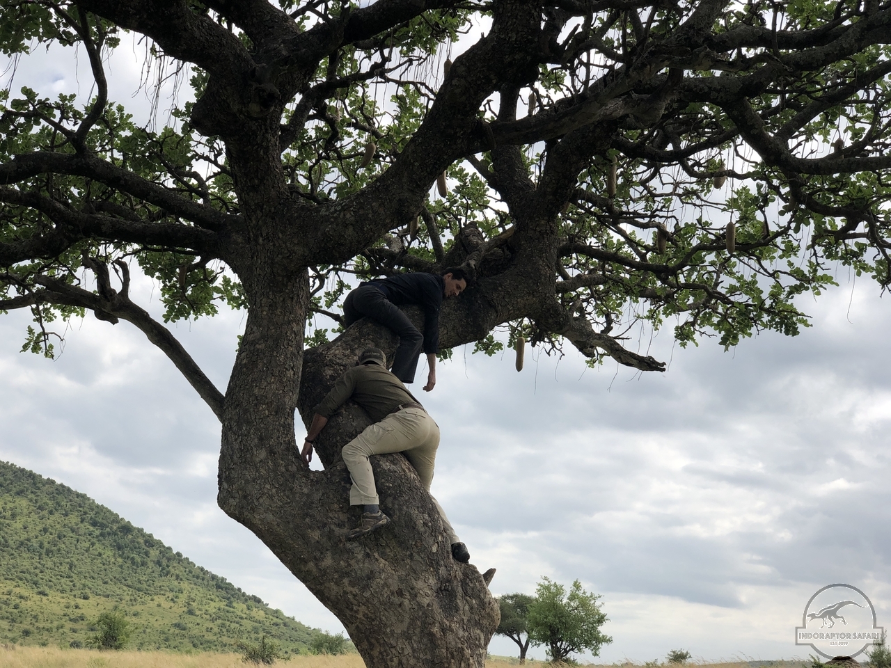 [1002] 2019_07_04_10_26_44_Africa_iPhone_X_IMG_4631_00394.jpg