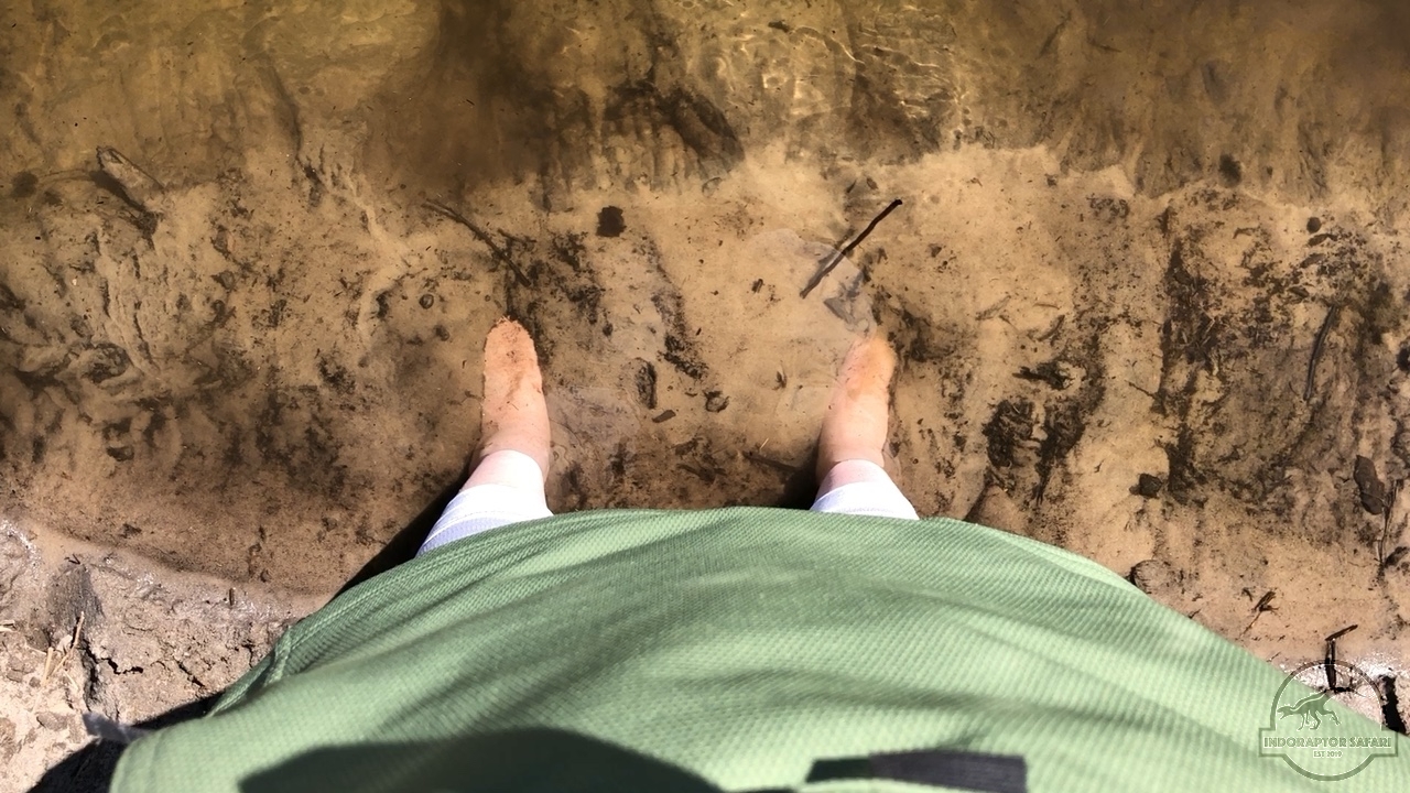 [1027] 2020_06_17_14_46_00-04_00_Africa__IMG__00029.jpg