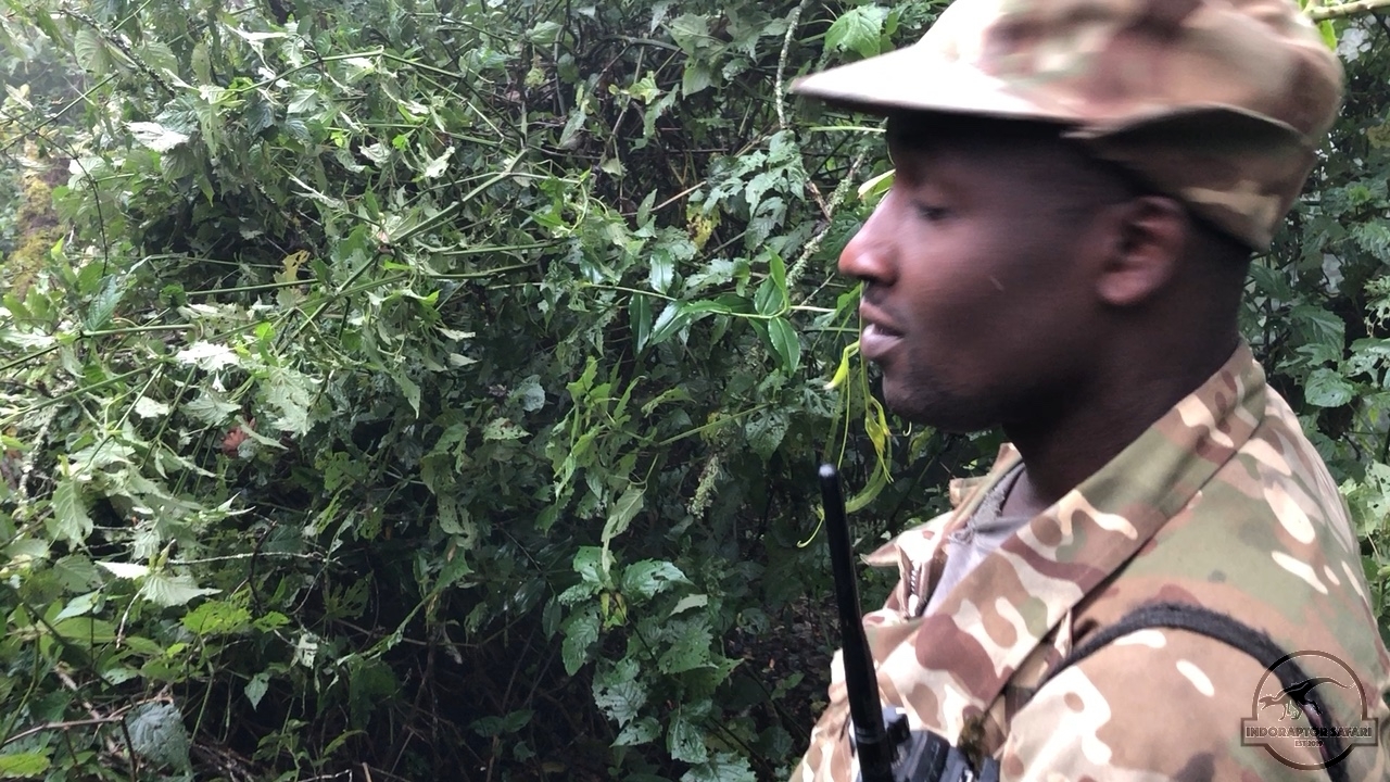 [1033] 2020_06_17_14_46_28-04_00_Africa__IMG__00020.jpg