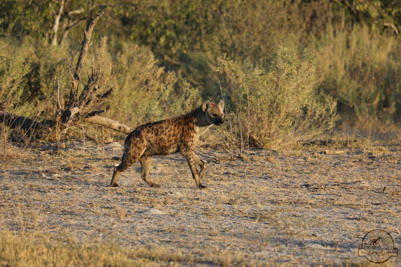 [1050] 2019_06_20_12_26_15_Africa_Canon_EOS_5D_Mark_IV_IMG_0000651_00457.jpg