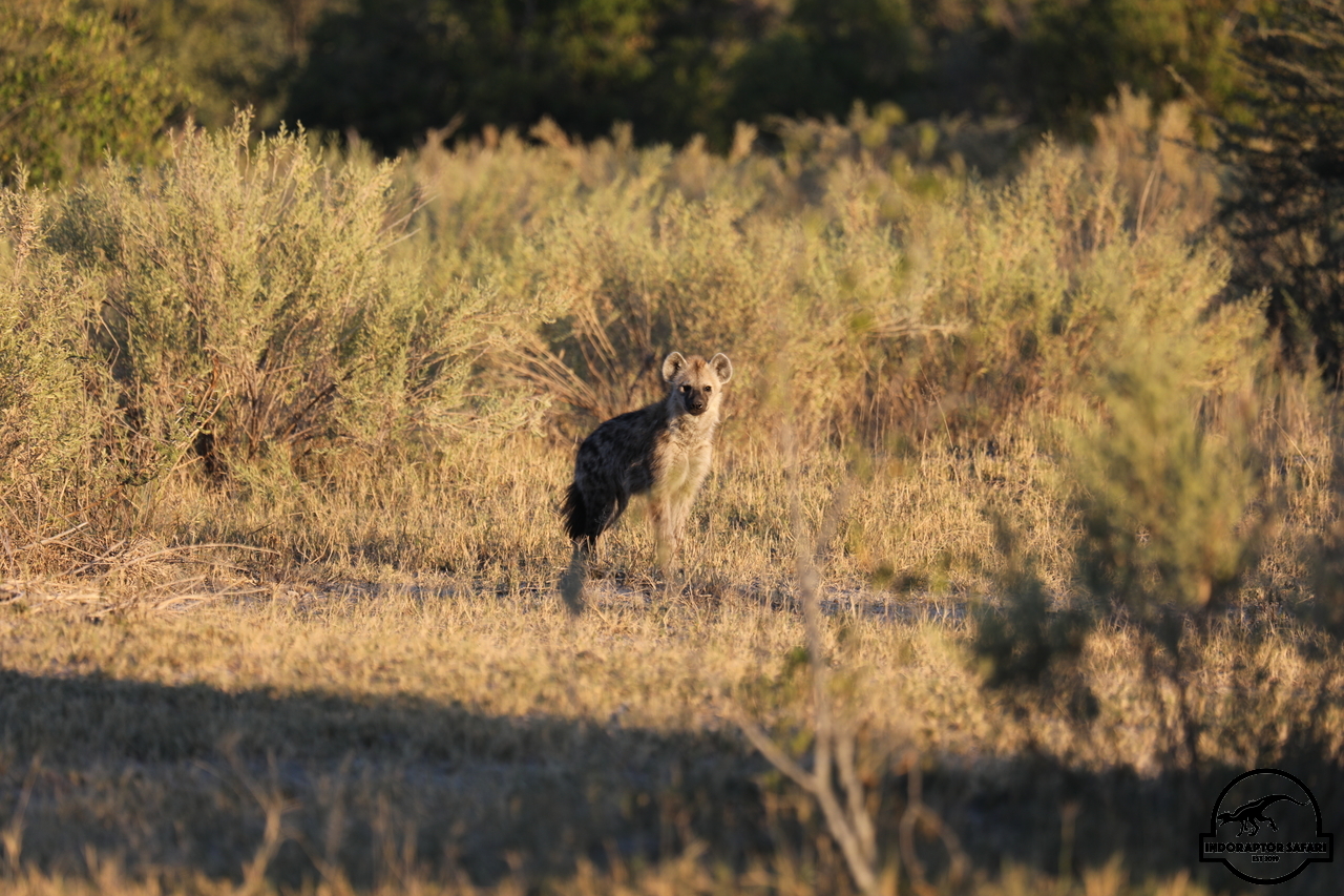 [1051] 2019_06_20_12_26_21_Africa_Canon_EOS_5D_Mark_IV_IMG_0000653_00002.jpg