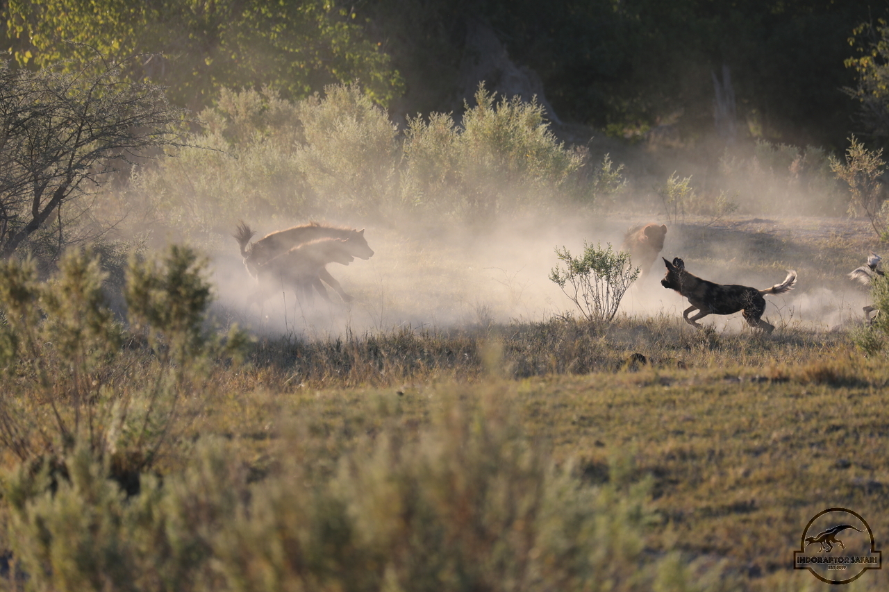 [1054] 2019_06_20_12_38_59_Africa_Canon_EOS_5D_Mark_IV_IMG_0000679_00459.jpg
