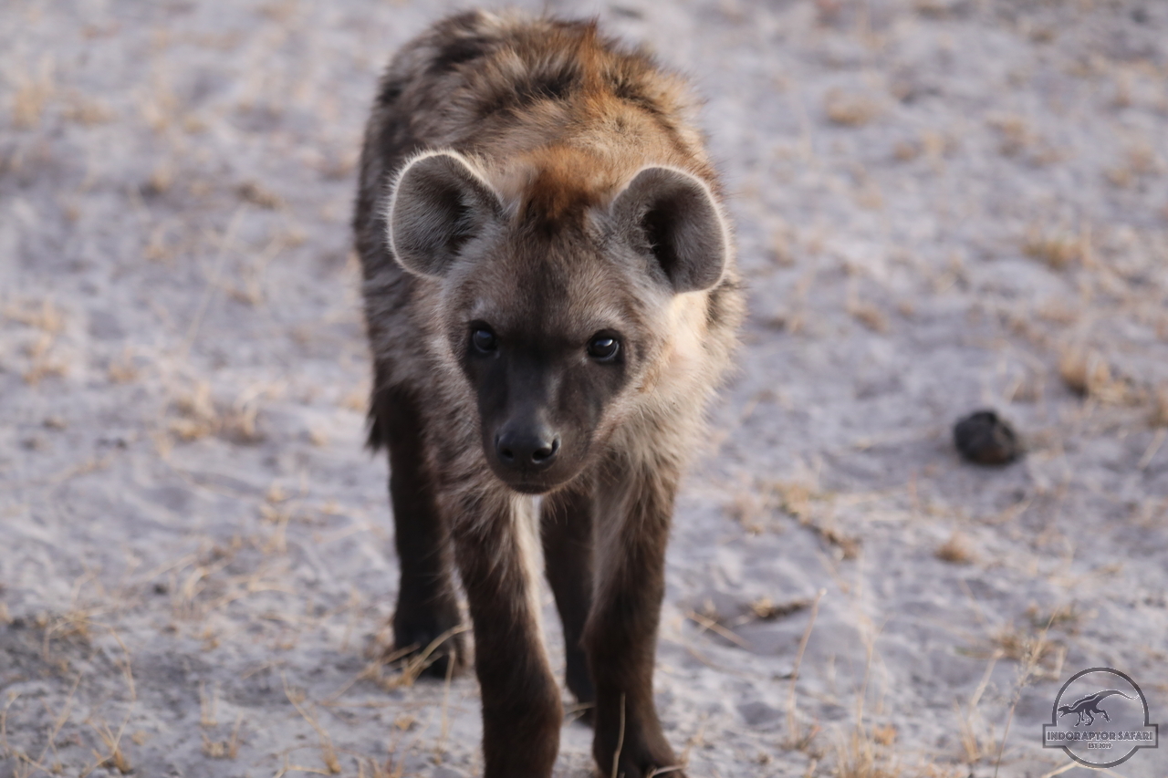 [1060] 2019_06_21_23_09_04_Africa_Canon_EOS_5D_Mark_IV_IMG_0004411_00462.jpg