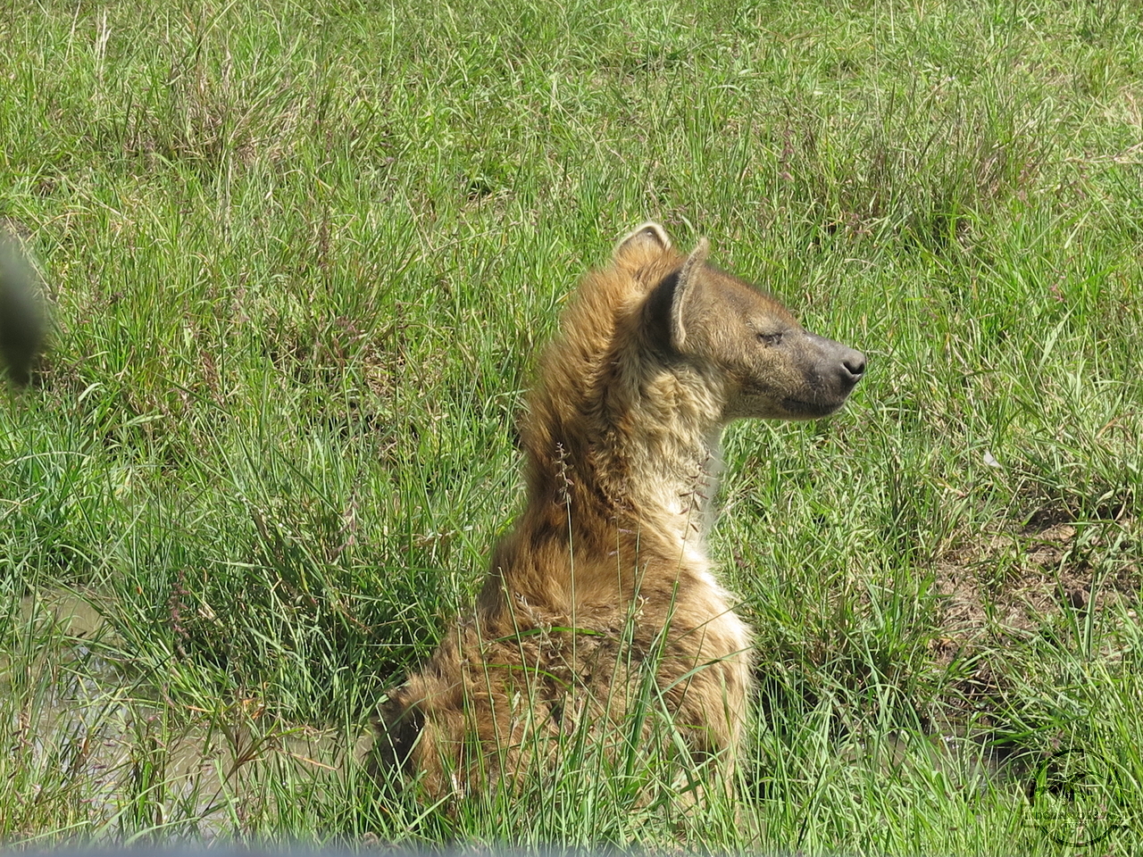 [1062] 2019_07_01_07_38_16_Africa_Canon_PowerShot_G16_IMG_0300_00466.jpg