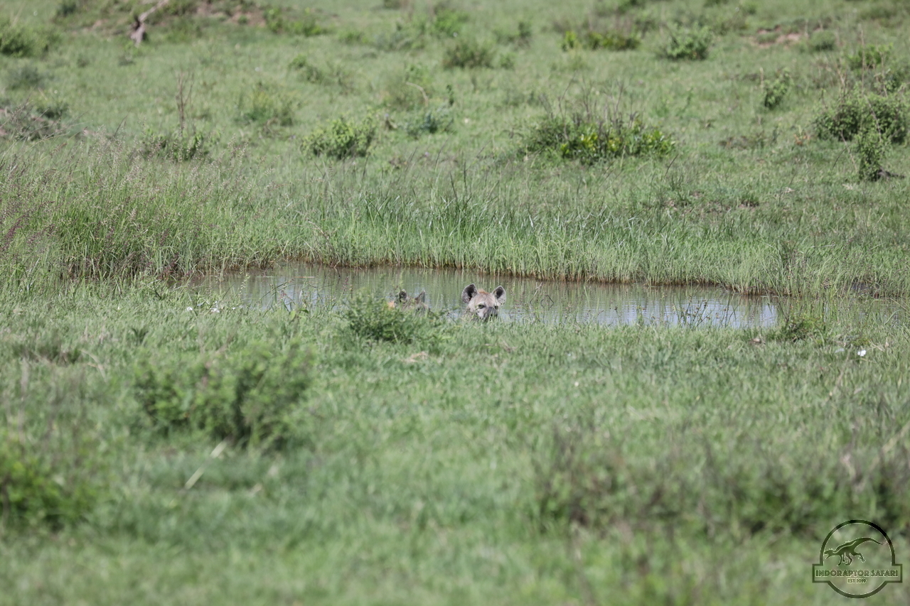 [1066] 2019_07_03_15_05_39_Africa_Canon_EOS_5D_Mark_IV_IMG_0013158_00463.jpg