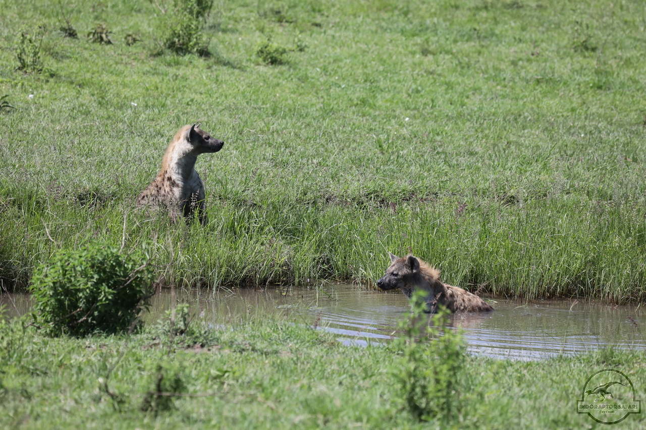 [1070] 2019_07_03_15_10_57_Africa_Canon_EOS_5D_Mark_IV_IMG_0013237_00465.jpg