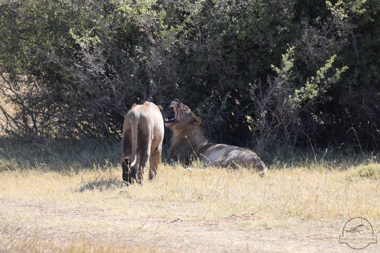 [1074] 2019_06_20_16_08_57_Africa_Canon_EOS_5D_Mark_IV_IMG_0001328_00469.jpg