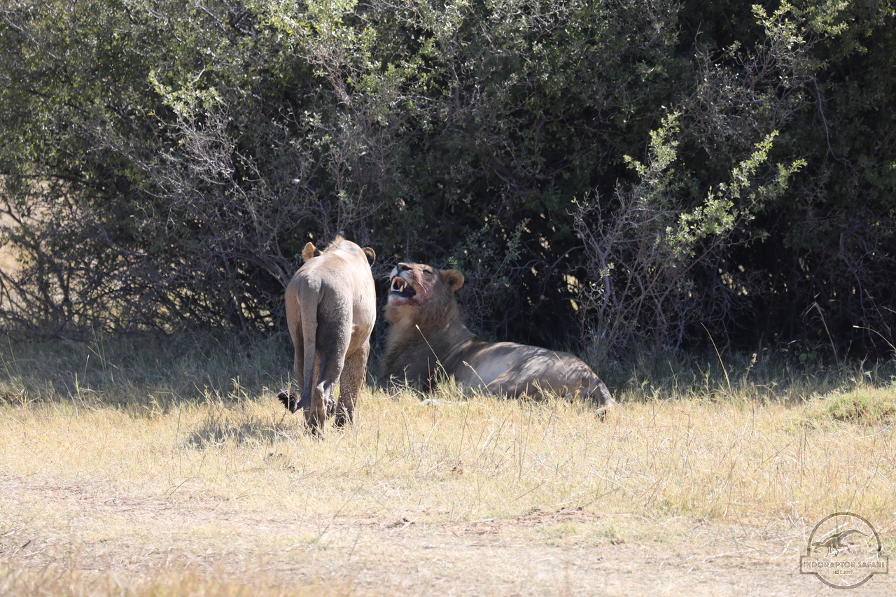 [1076] 2019_06_20_16_08_57_Africa_Canon_EOS_5D_Mark_IV_IMG_0001329_00470.jpg