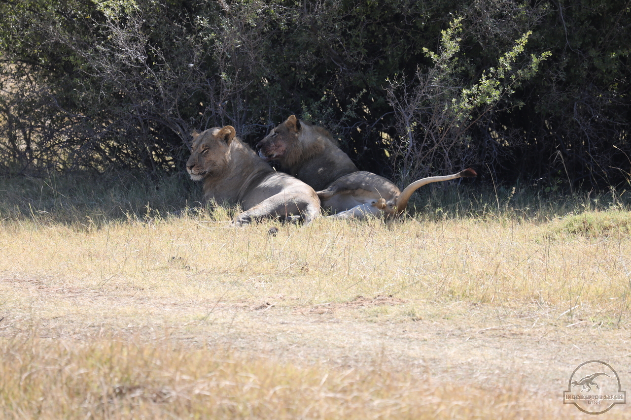 [1083] 2019_06_20_16_09_03_Africa_Canon_EOS_5D_Mark_IV_IMG_0001338_00007.jpg