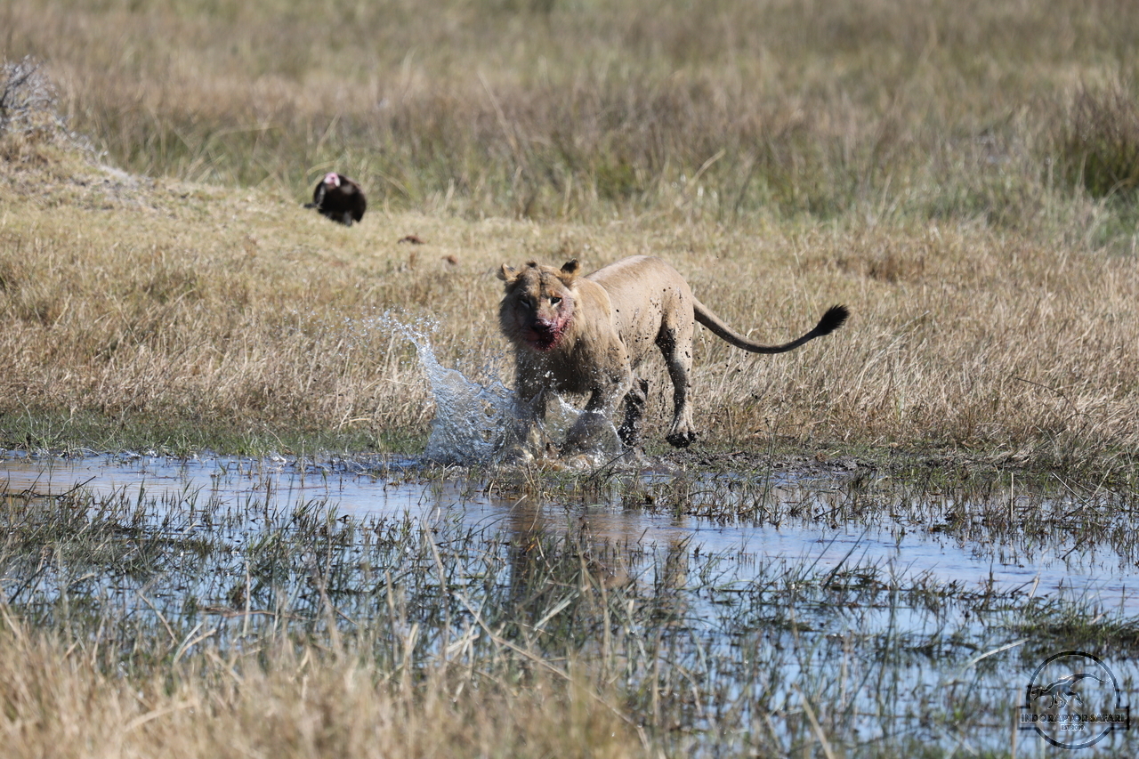 [1092] 2019_06_20_16_20_35_Africa_Canon_EOS_5D_Mark_IV_IMG_0001552_00478.jpg