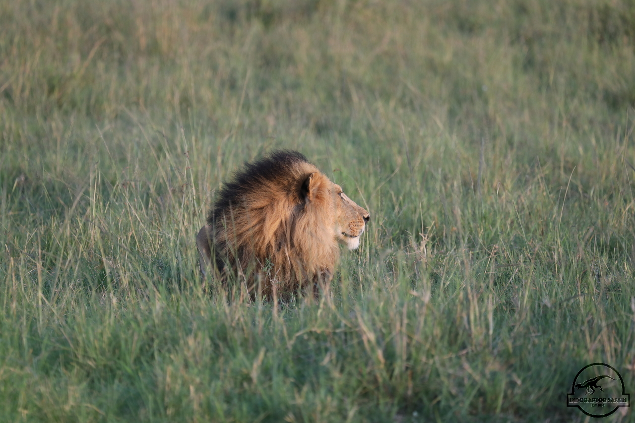 [1111] 2019_07_01_11_05_42_Africa_Canon_EOS_5D_Mark_IV_IMG_0009839_00019.jpg