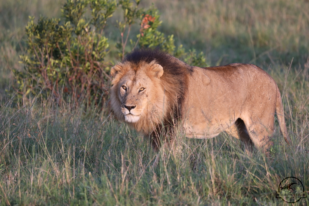 [1113] 2019_07_01_11_07_45_Africa_Canon_EOS_5D_Mark_IV_IMG_0009888_00020.jpg