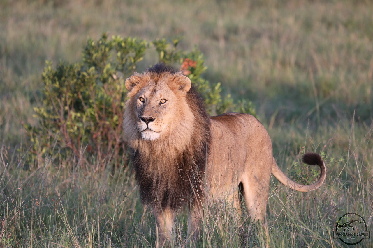 [1115] 2019_07_01_11_07_47_Africa_Canon_EOS_5D_Mark_IV_IMG_0009894_00021.jpg