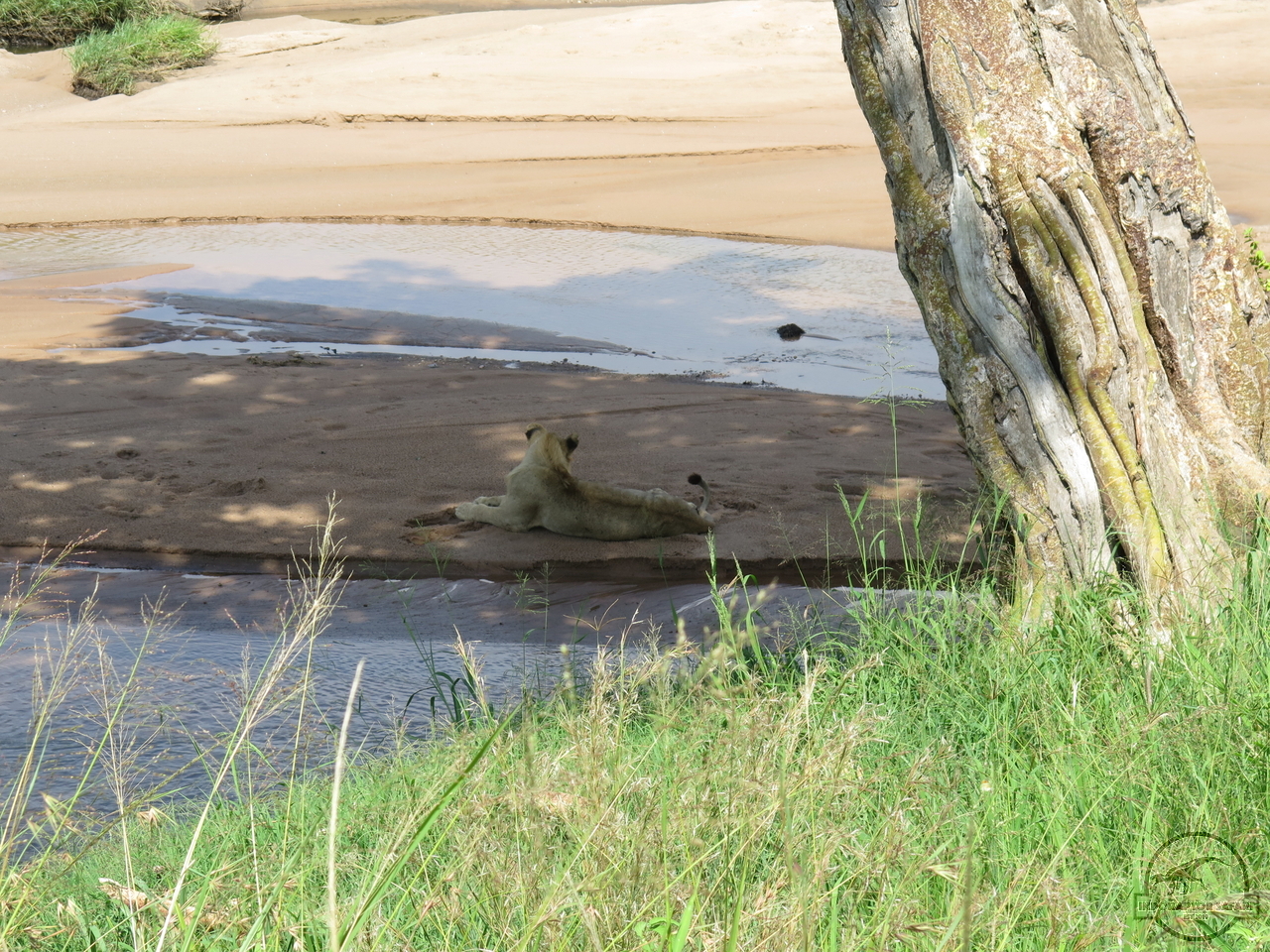 [1121] 2019_07_02_04_39_06_Africa_Canon_PowerShot_G16_IMG_0040_00029.jpg