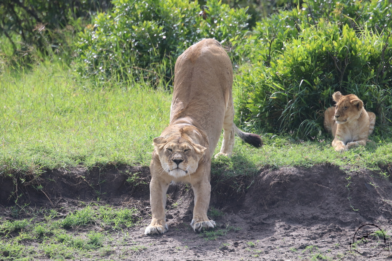 [1123] 2019_07_02_09_04_30_Africa_Canon_EOS_77D_IMG_2994_00032.jpg