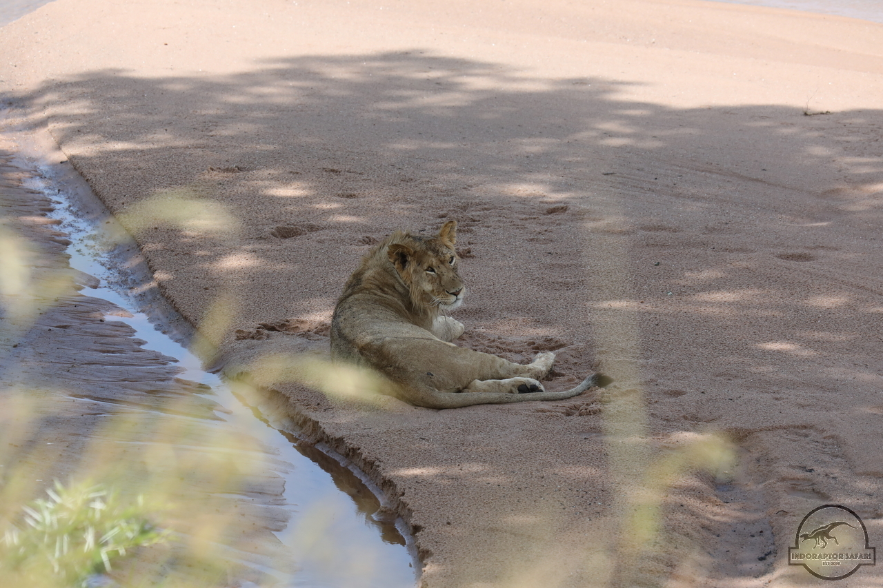 [1126] 2019_07_02_15_36_06_Africa_Canon_EOS_5D_Mark_IV_IMG_0012322_00491.jpg