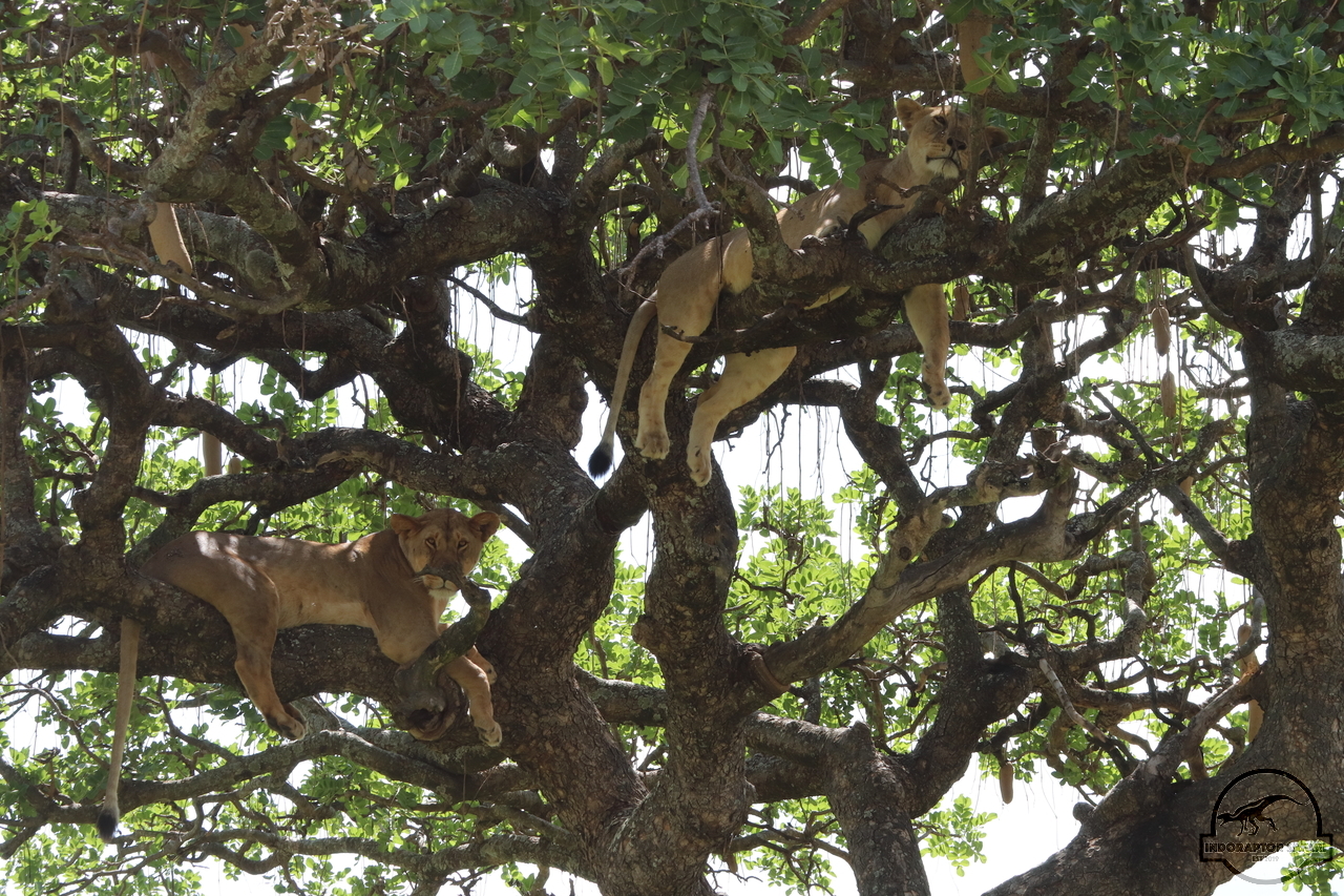 [1132] 2019_07_03_13_29_30_Africa_Canon_EOS_77D_IMG_3638_00502.jpg