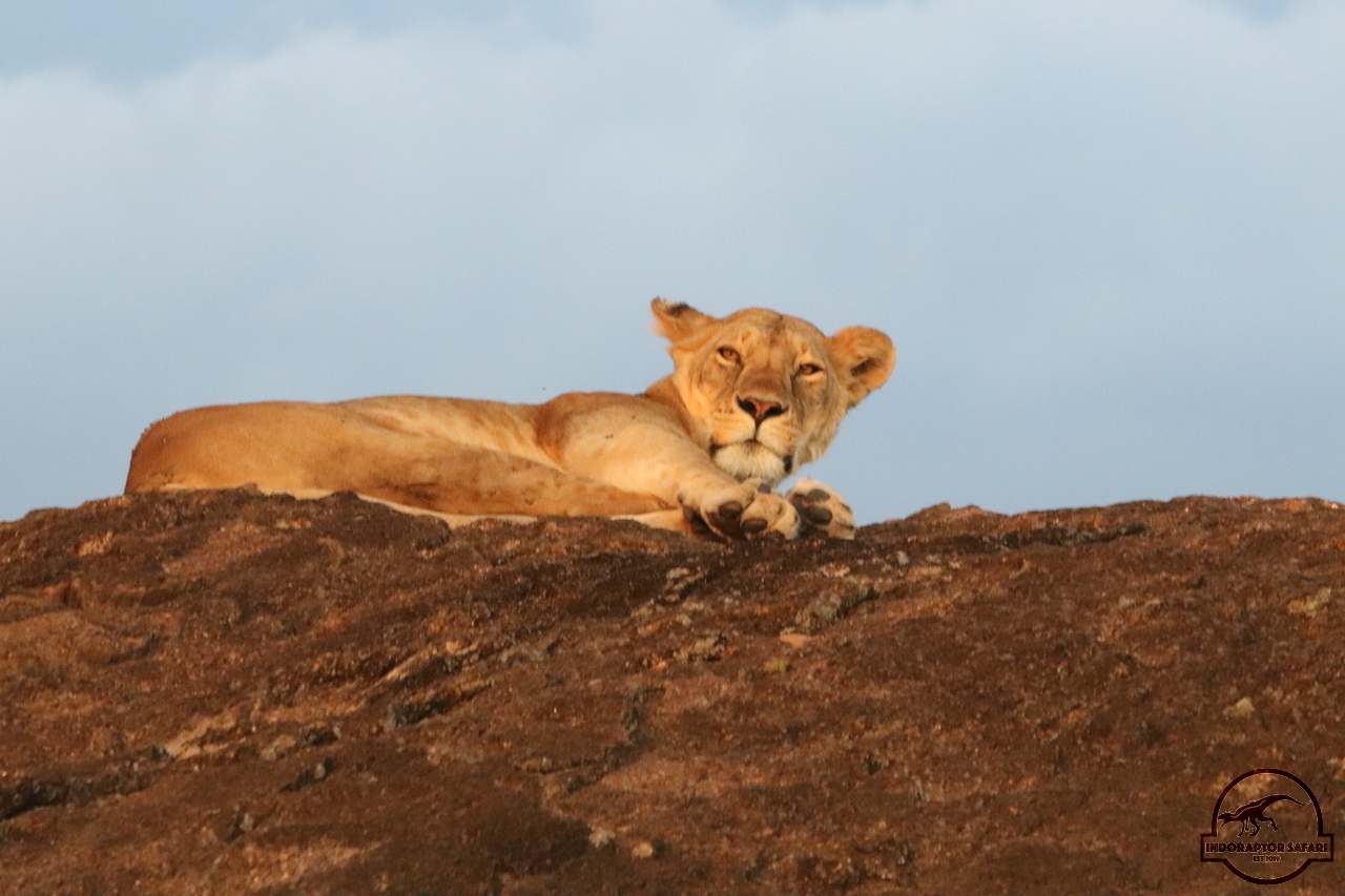 [1138] 2019_07_03_17_23_52_Africa_Canon_EOS_77D_IMG_3785_00505.jpg