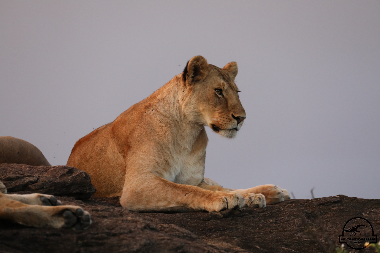 [1148] 2019_07_03_22_38_24_Africa_Canon_EOS_5D_Mark_IV_IMG_0014917_00494.jpg