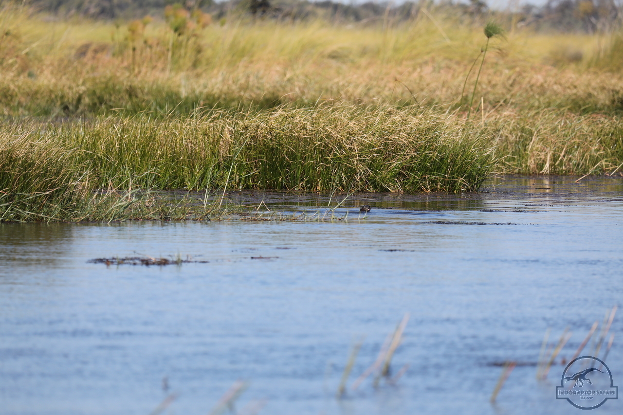 [1174] 2019_06_21_17_32_03_Africa_Canon_EOS_5D_Mark_IV_IMG_0004045_00519.jpg