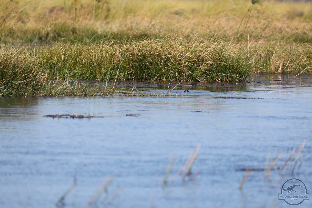 [1176] 2019_06_21_17_32_03_Africa_Canon_EOS_5D_Mark_IV_IMG_0004046_00520.jpg
