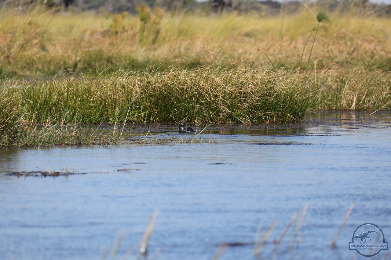 [1180] 2019_06_21_17_32_05_Africa_Canon_EOS_5D_Mark_IV_IMG_0004048_00522.jpg