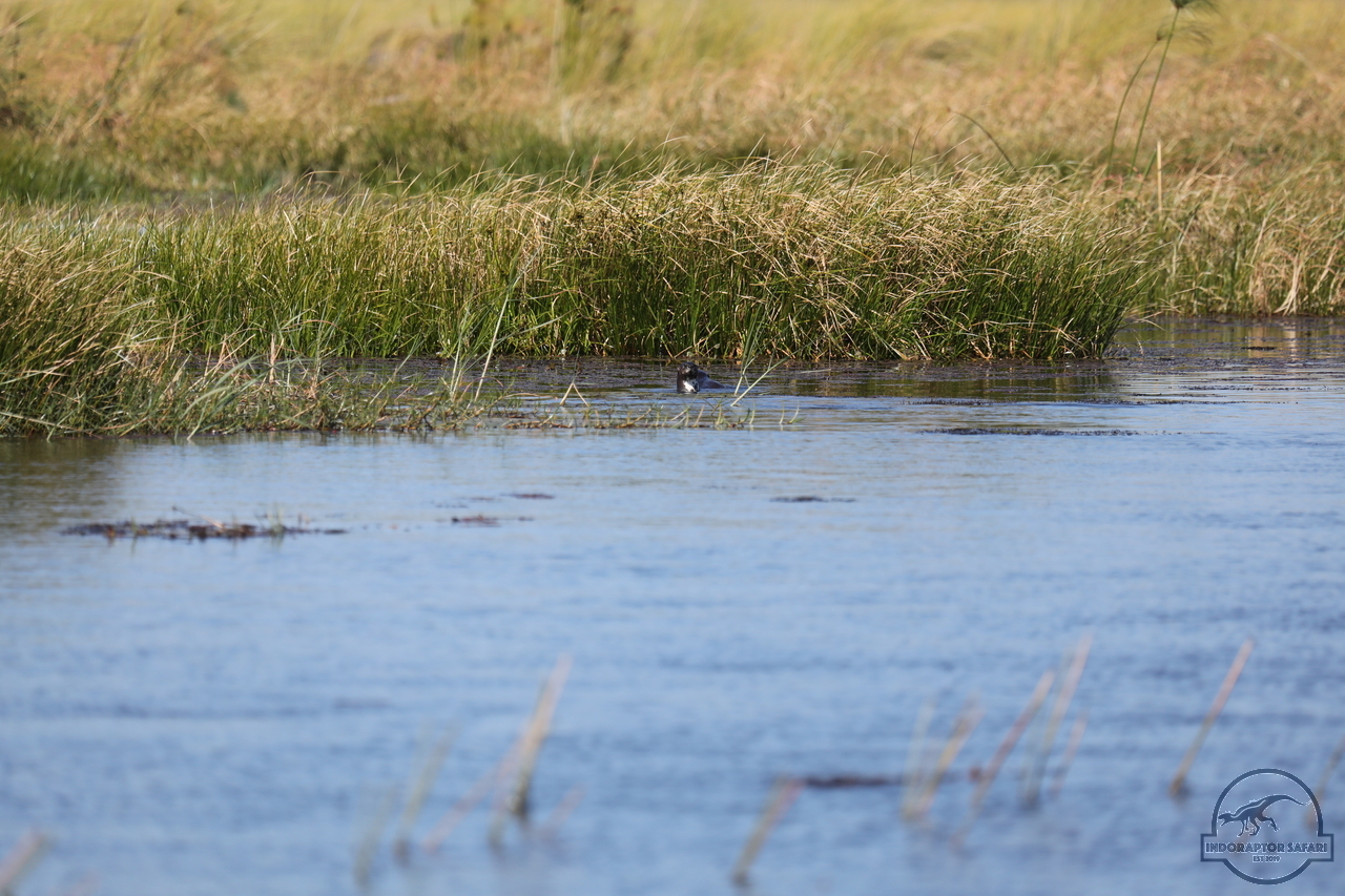 [1182] 2019_06_21_17_32_05_Africa_Canon_EOS_5D_Mark_IV_IMG_0004049_00523.jpg