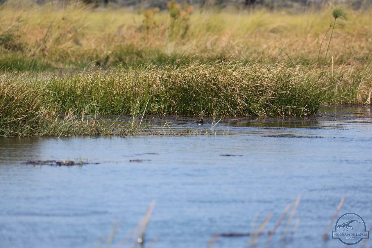 [1183] 2019_06_21_17_32_06_Africa_Canon_EOS_5D_Mark_IV_IMG_0004050_00006.jpg