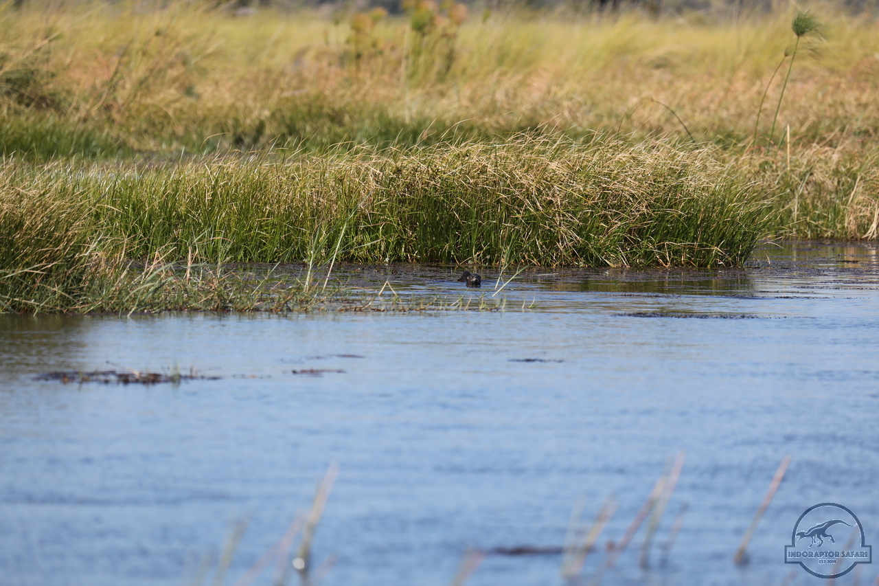 [1186] 2019_06_21_17_32_06_Africa_Canon_EOS_5D_Mark_IV_IMG_0004051_00525.jpg