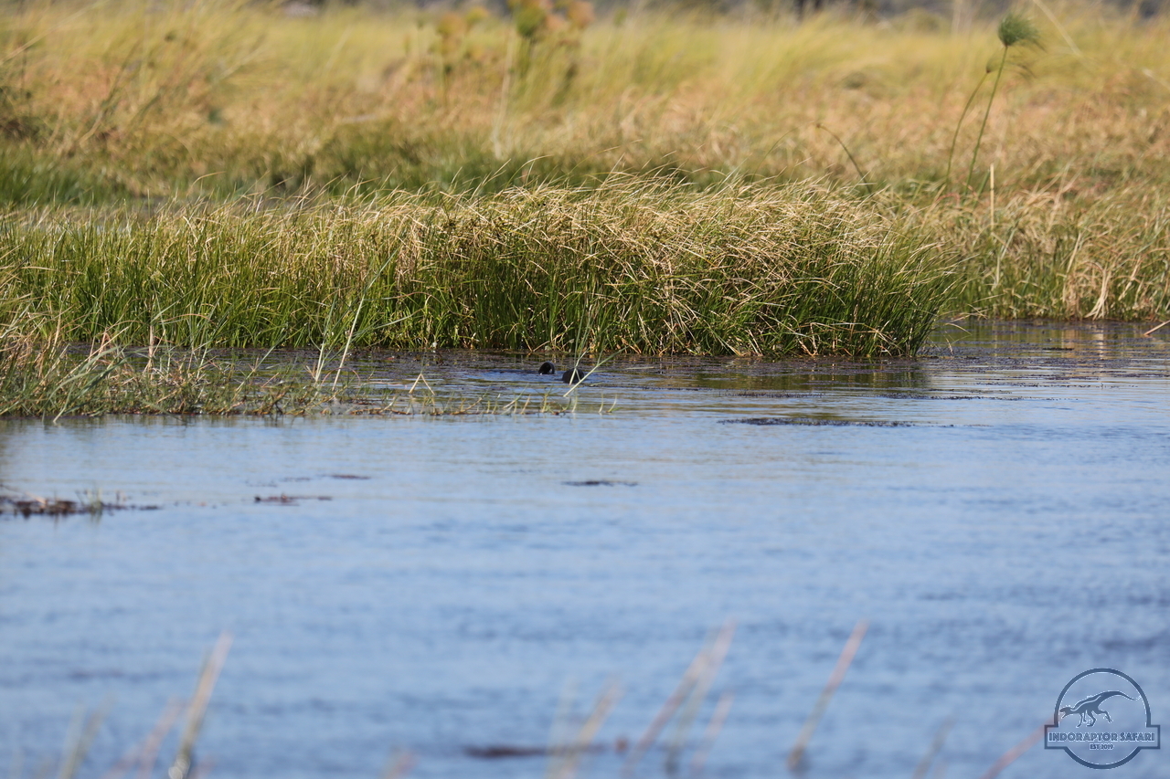 [1190] 2019_06_21_17_32_07_Africa_Canon_EOS_5D_Mark_IV_IMG_0004053_00527.jpg