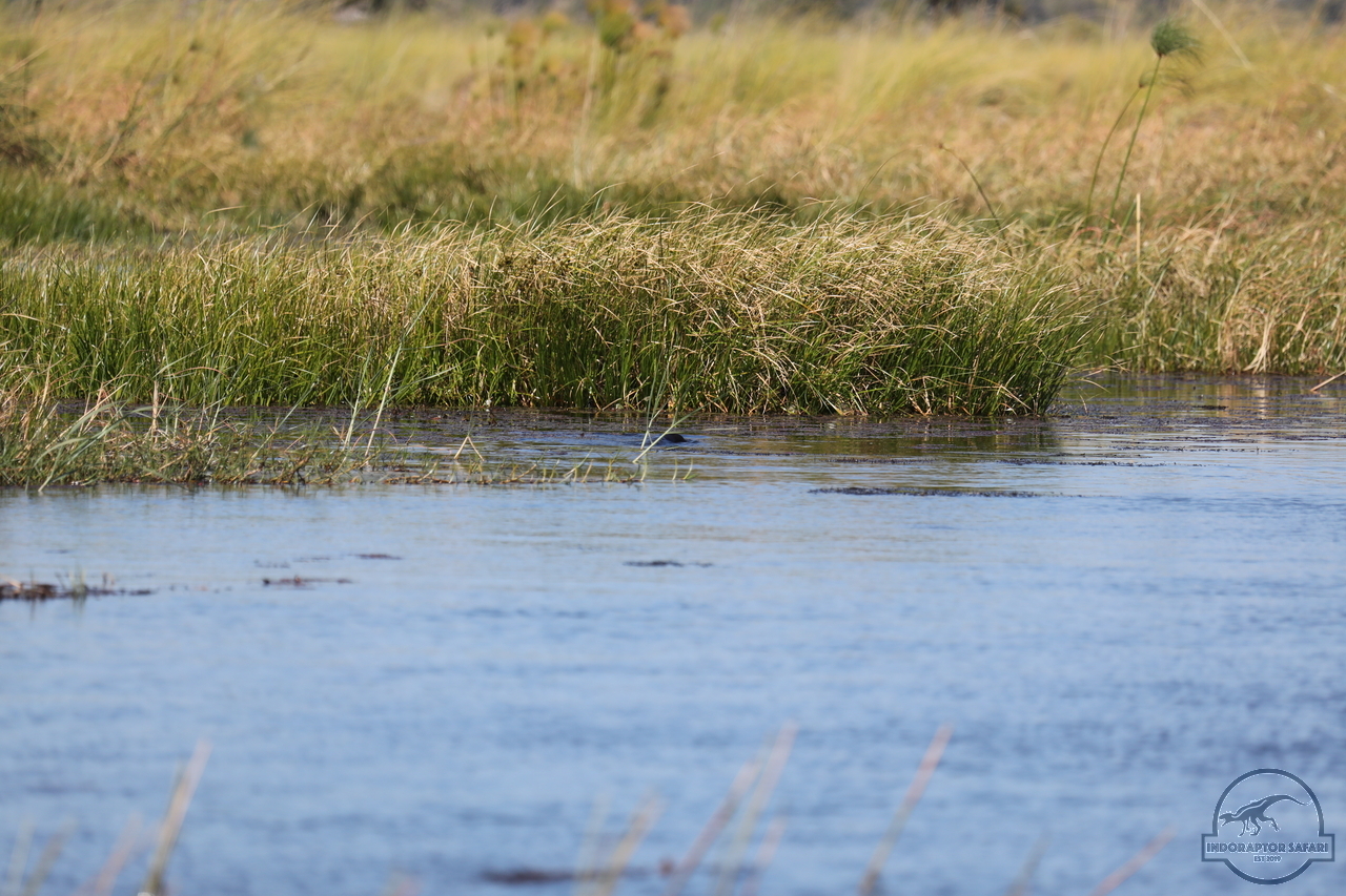 [1192] 2019_06_21_17_32_07_Africa_Canon_EOS_5D_Mark_IV_IMG_0004054_00528.jpg