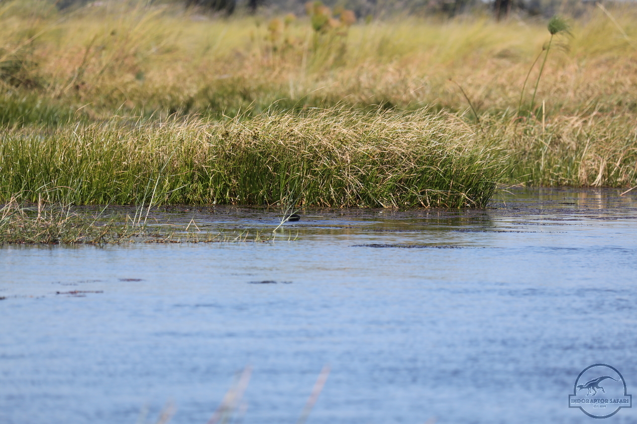 [1195] 2019_06_21_17_32_09_Africa_Canon_EOS_5D_Mark_IV_IMG_0004056_00012.jpg