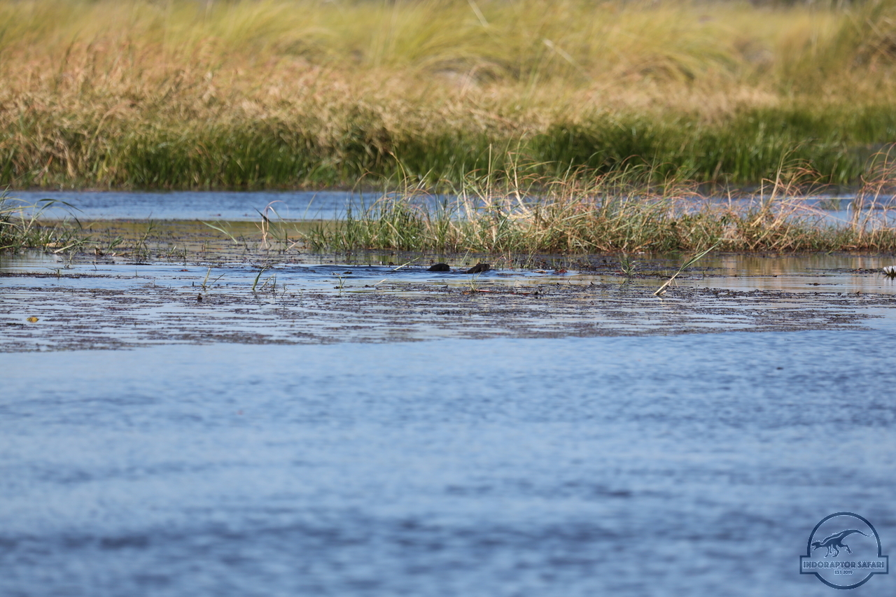 [1201] 2019_06_21_17_32_48_Africa_Canon_EOS_5D_Mark_IV_IMG_0004059_00015.jpg