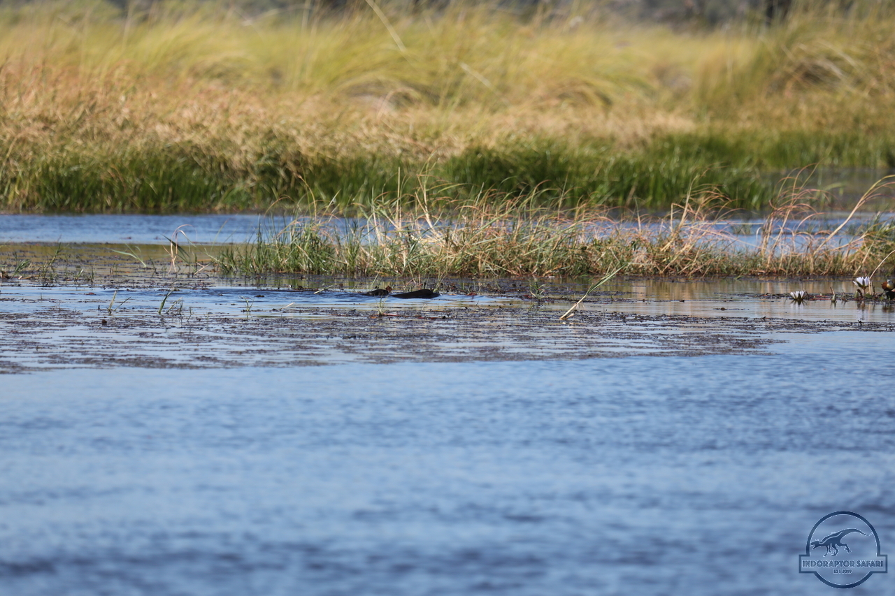 [1203] 2019_06_21_17_32_48_Africa_Canon_EOS_5D_Mark_IV_IMG_0004060_00016.jpg