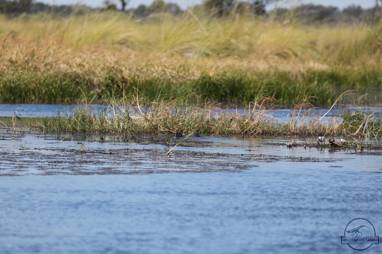 [1206] 2019_06_21_17_32_56_Africa_Canon_EOS_5D_Mark_IV_IMG_0004061_00535.jpg