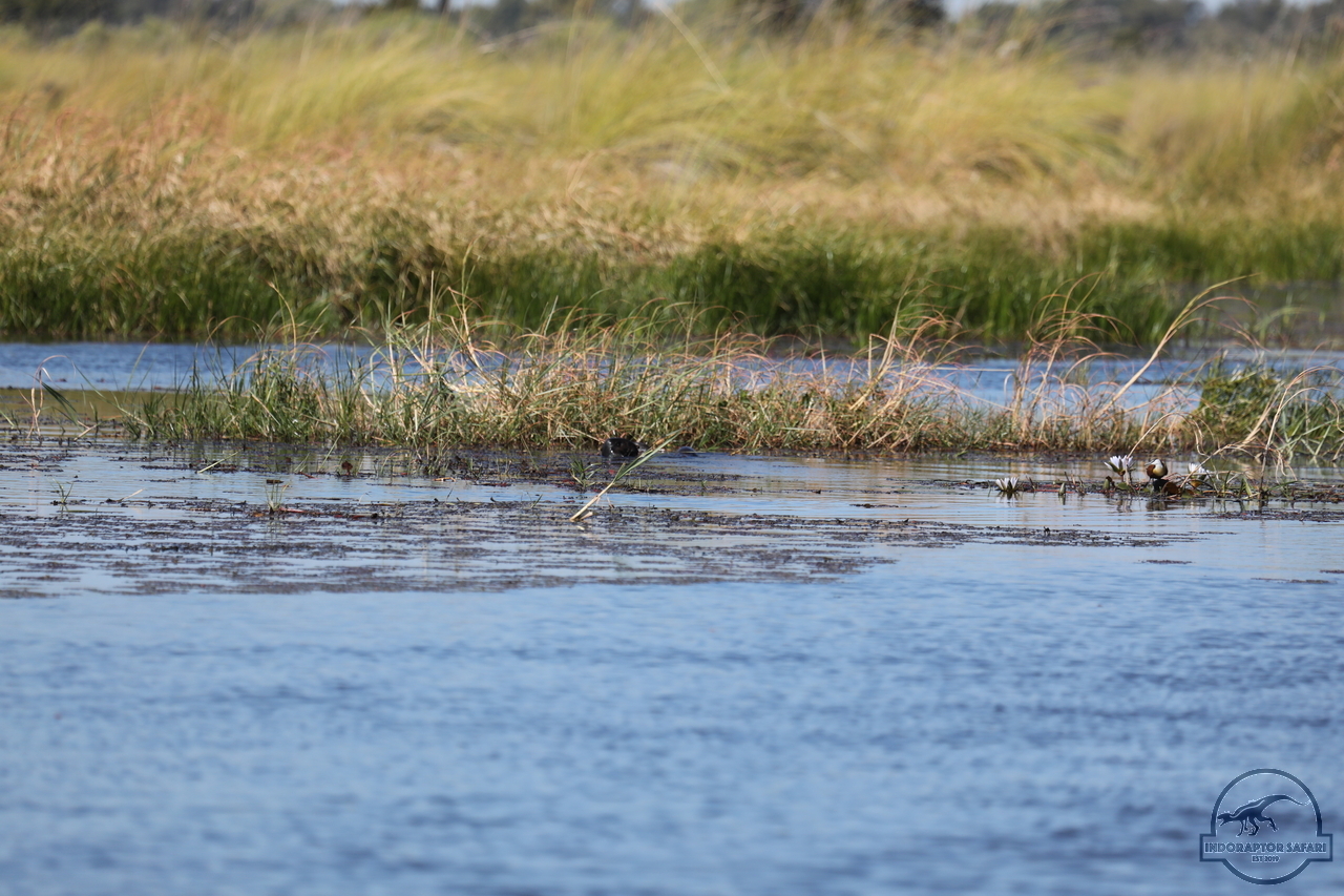 [1208] 2019_06_21_17_32_56_Africa_Canon_EOS_5D_Mark_IV_IMG_0004062_00536.jpg