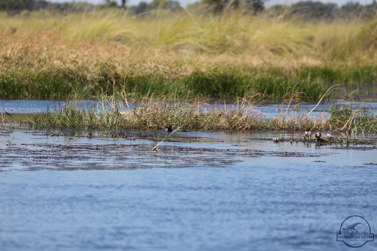 [1210] 2019_06_21_17_32_56_Africa_Canon_EOS_5D_Mark_IV_IMG_0004063_00537.jpg