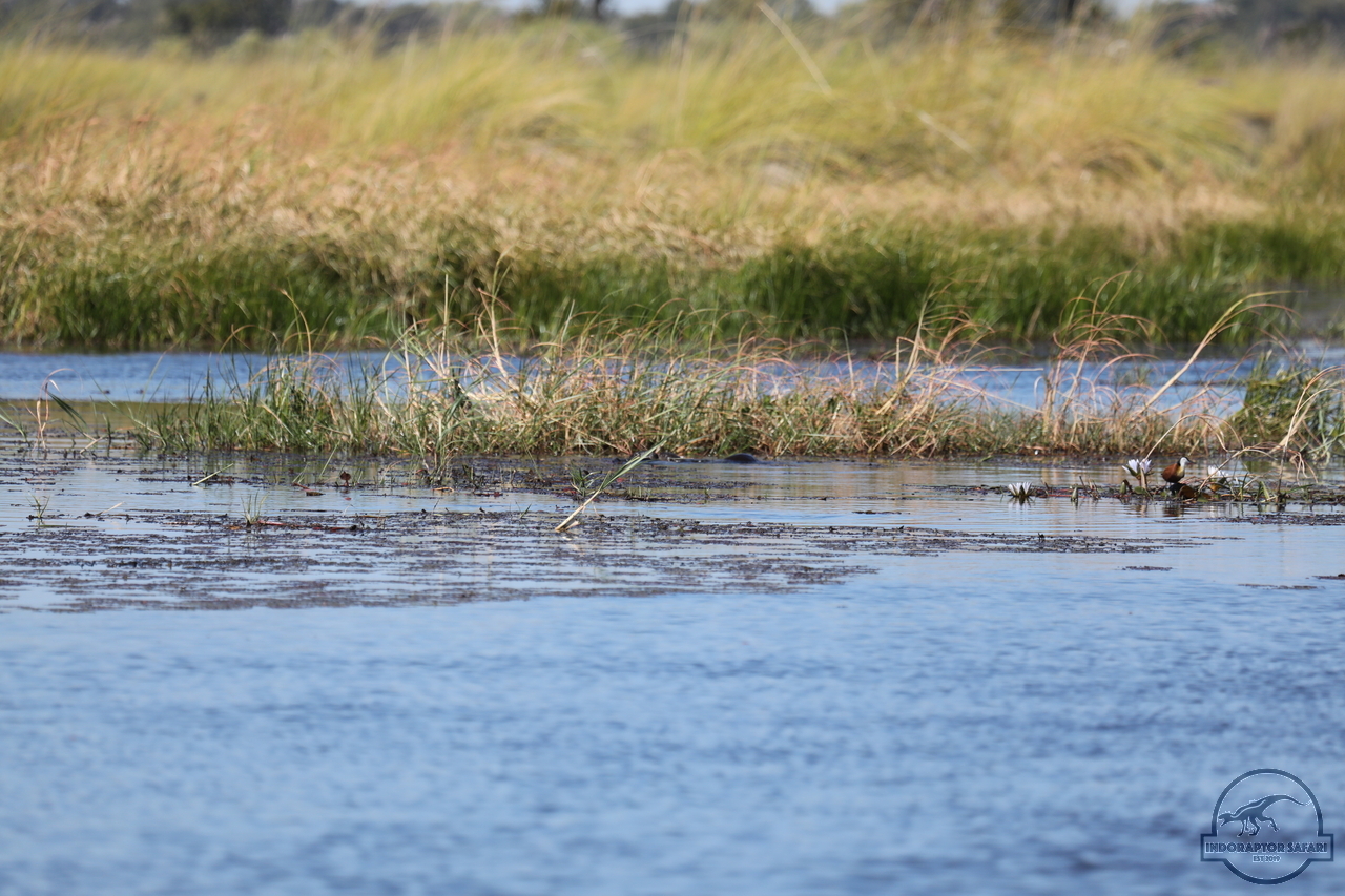 [1214] 2019_06_21_17_32_59_Africa_Canon_EOS_5D_Mark_IV_IMG_0004065_00539.jpg