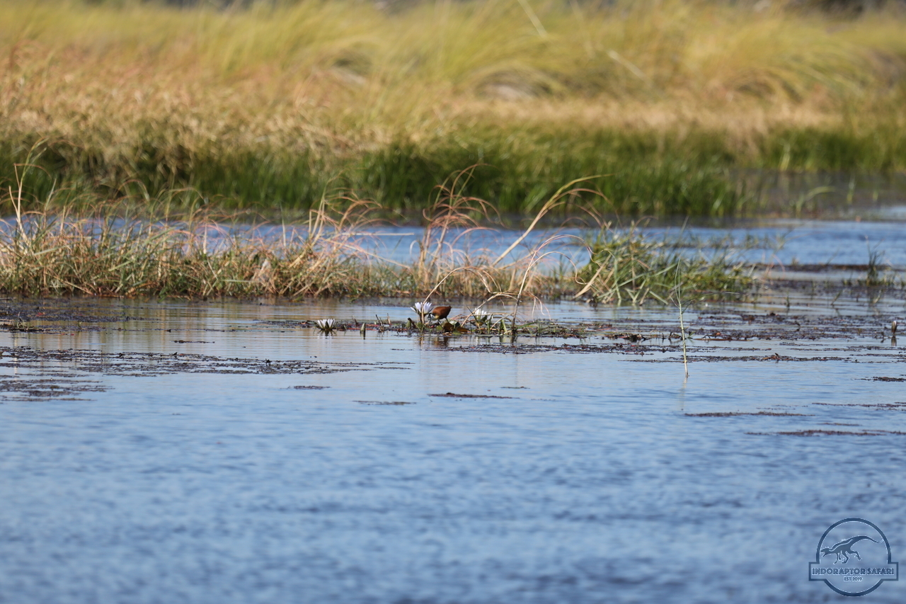 [1216] 2019_06_21_17_33_10_Africa_Canon_EOS_5D_Mark_IV_IMG_0004066_00540.jpg