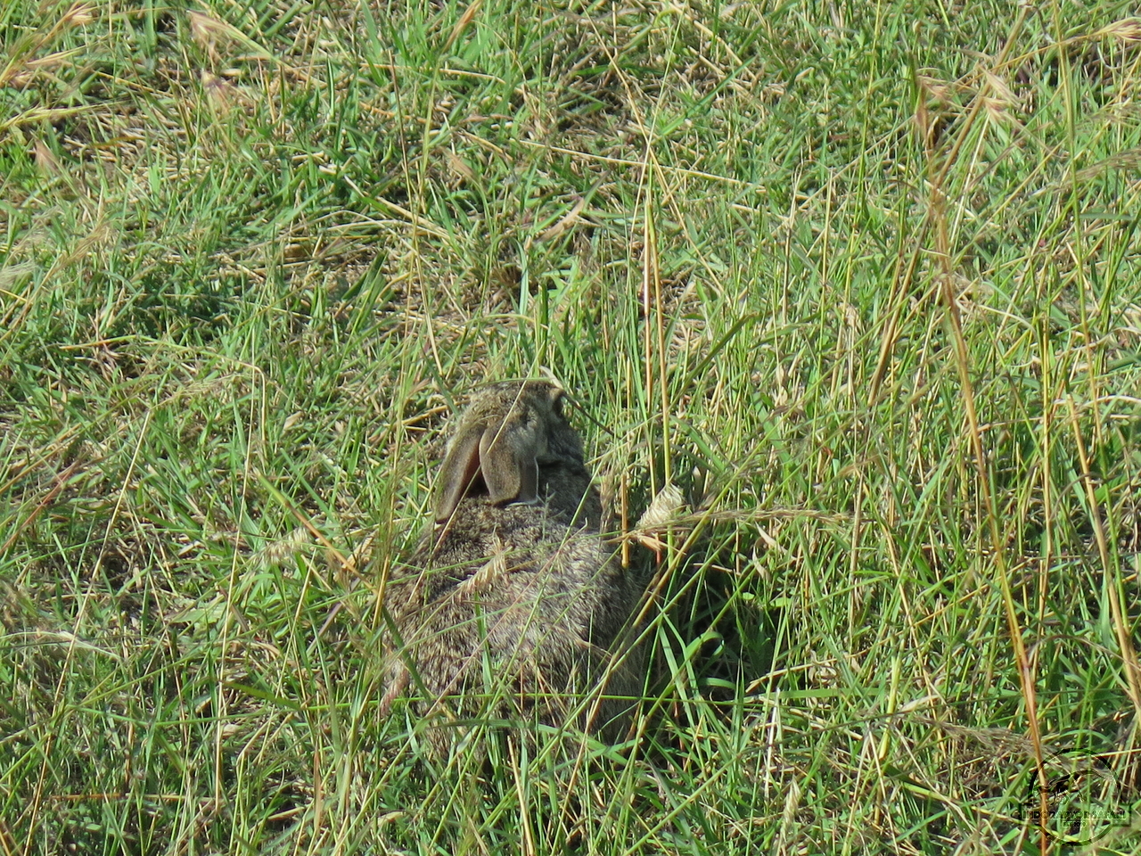 [1218] 2019_07_03_02_31_00_Africa_Canon_PowerShot_G16_IMG_0050_00541.jpg
