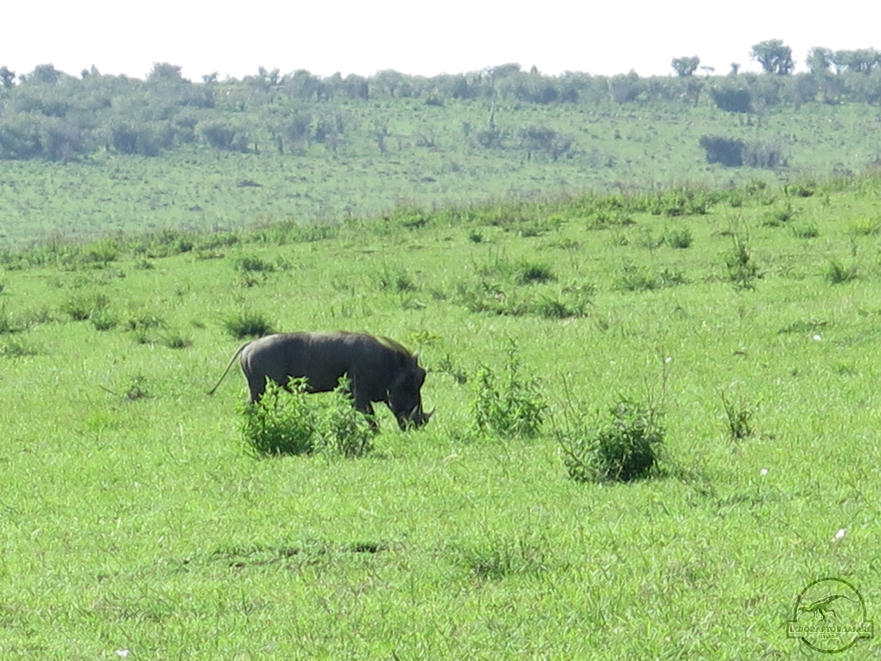 [1219] 2019_07_01_02_45_07_Africa_Canon_PowerShot_G16_IMG_0154_00001.jpg