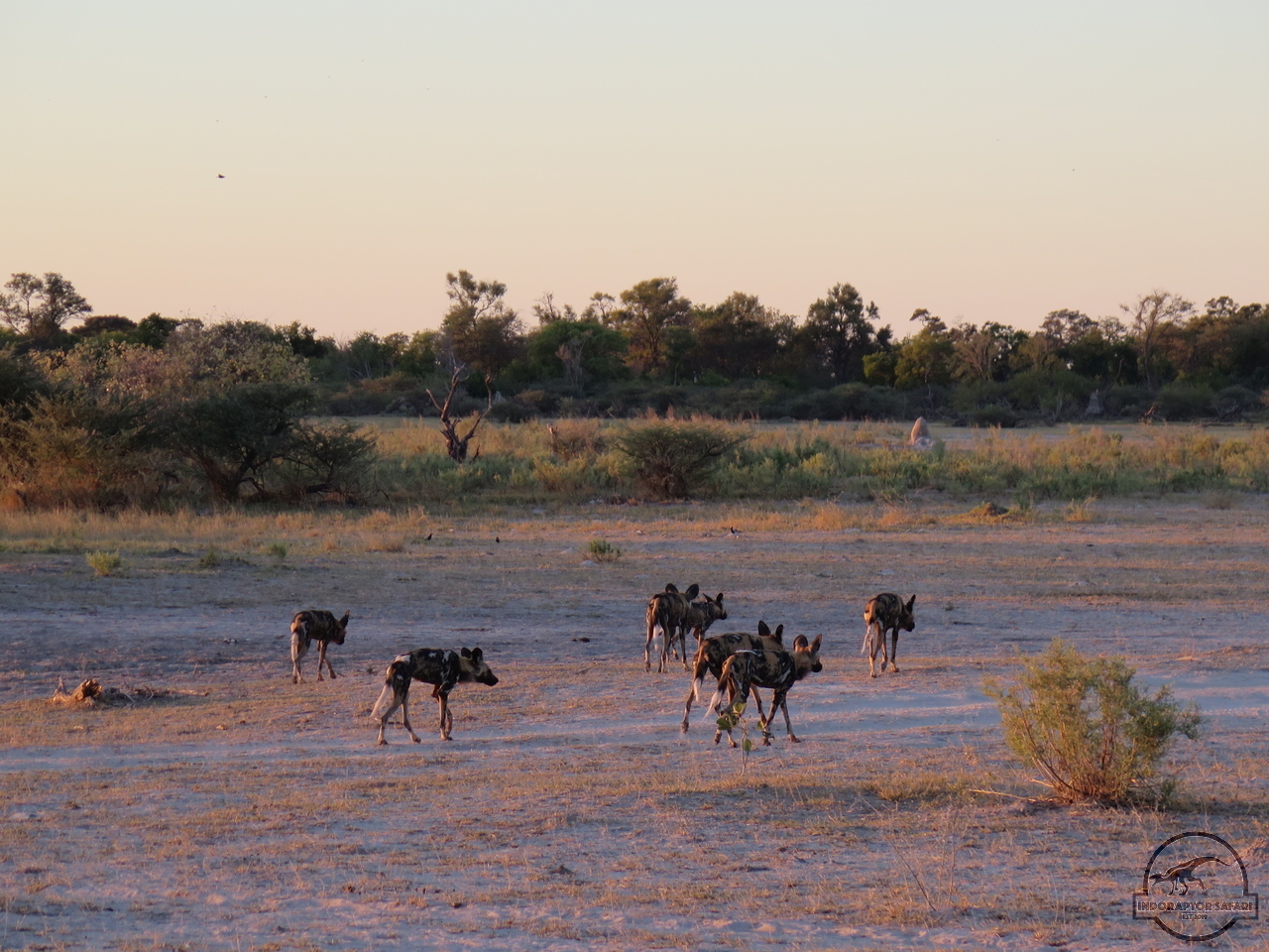 [1223] 2019_06_19_11_57_23_Africa_Canon_PowerShot_G16_IMG_0050_00013.jpg