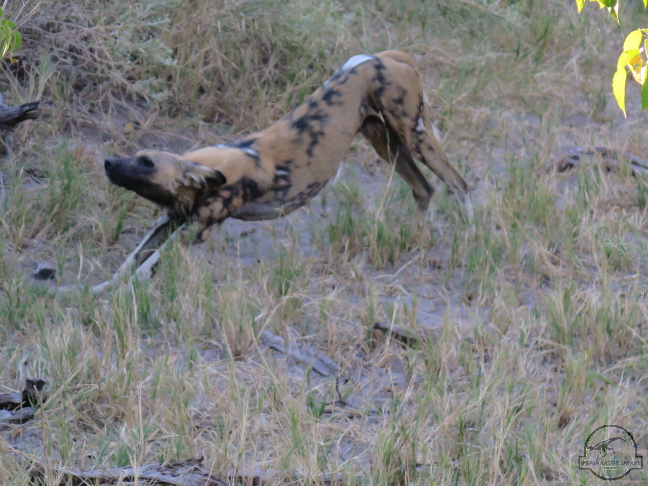 [1236] 2019_06_22_11_21_12_Africa_Canon_PowerShot_G16_IMG_0179_00558.jpg