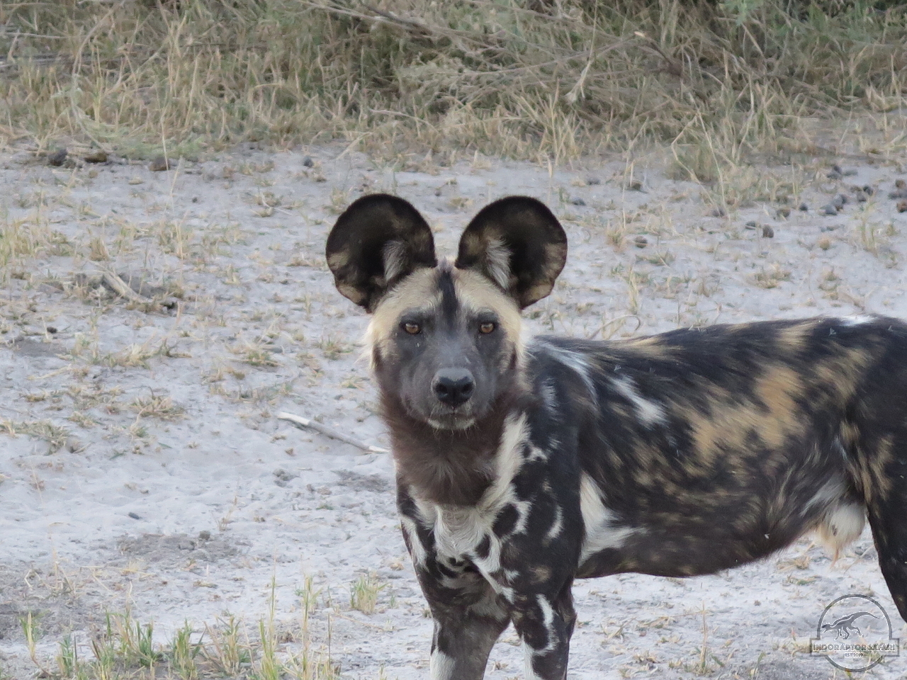 [1240] 2019_06_22_11_58_29_Africa_Canon_PowerShot_G16_IMG_0242_00560.jpg