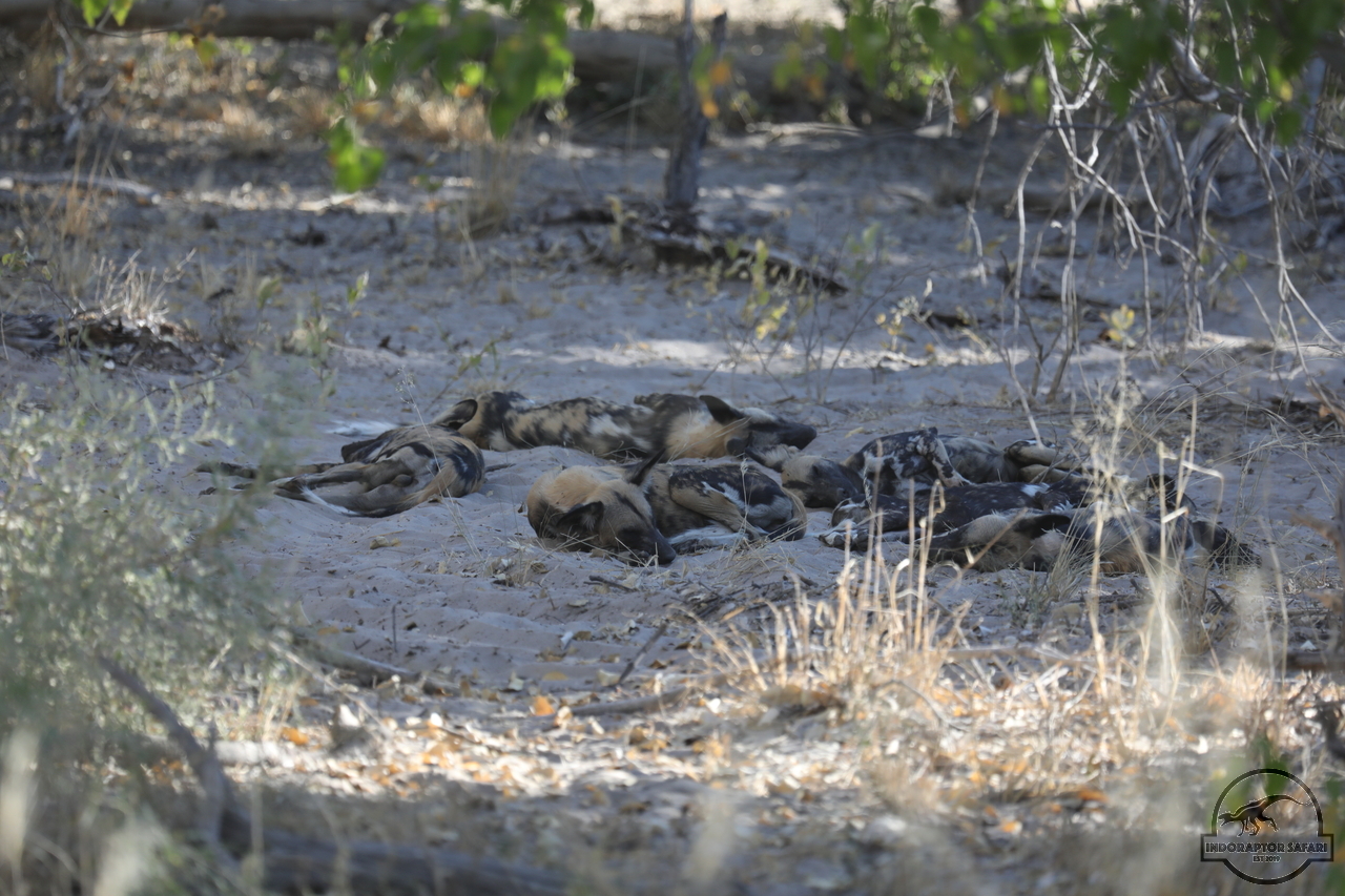 [1241] 2019_06_22_21_23_11_Africa_Canon_EOS_5D_Mark_IV_IMG_0002887_00005.jpg