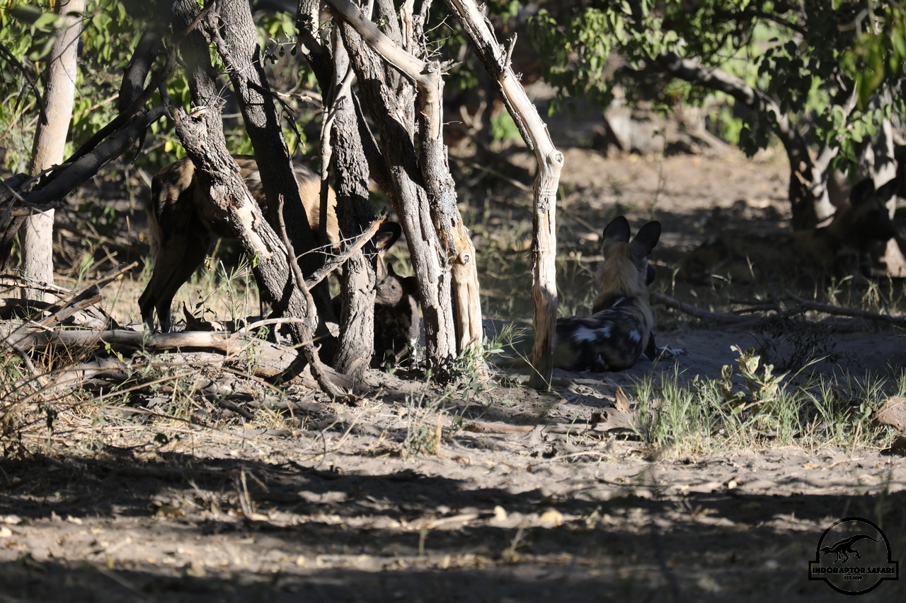 [1243] 2019_06_22_21_31_35_Africa_Canon_EOS_5D_Mark_IV_IMG_0003089_00006.jpg