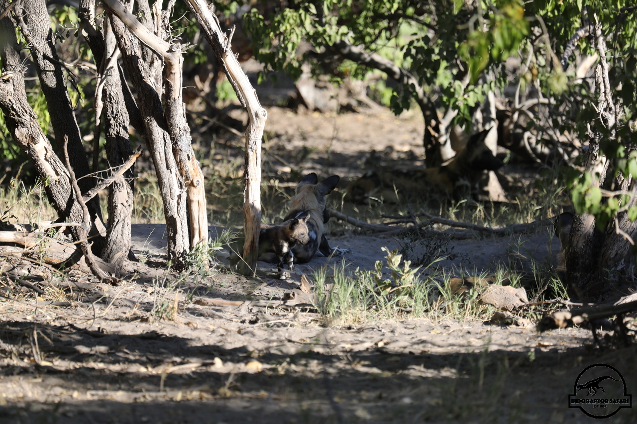 [1245] 2019_06_22_21_31_50_Africa_Canon_EOS_5D_Mark_IV_IMG_0003103_00007.jpg