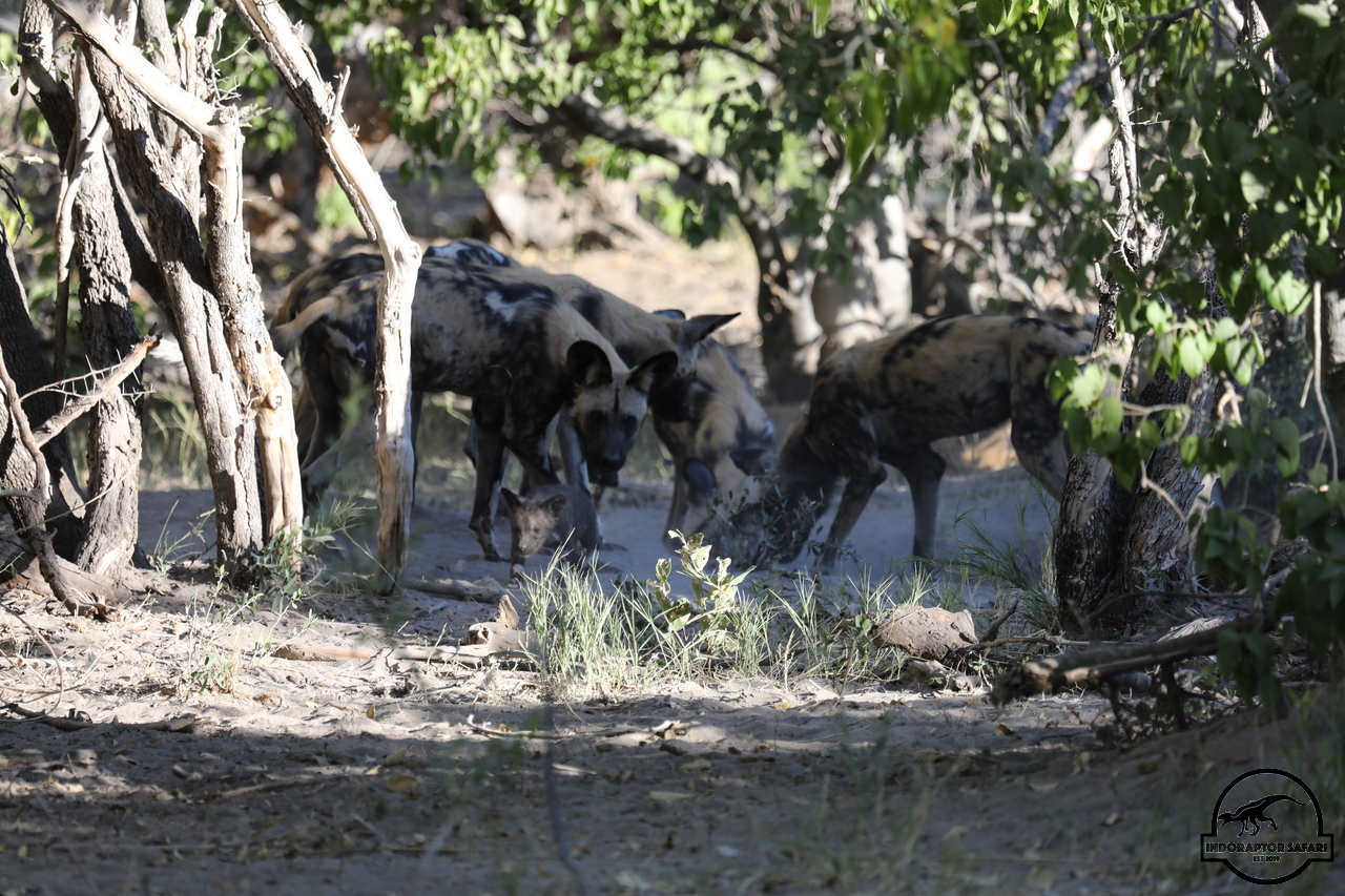 [1247] 2019_06_22_21_38_45_Africa_Canon_EOS_5D_Mark_IV_IMG_0003289_00008.jpg