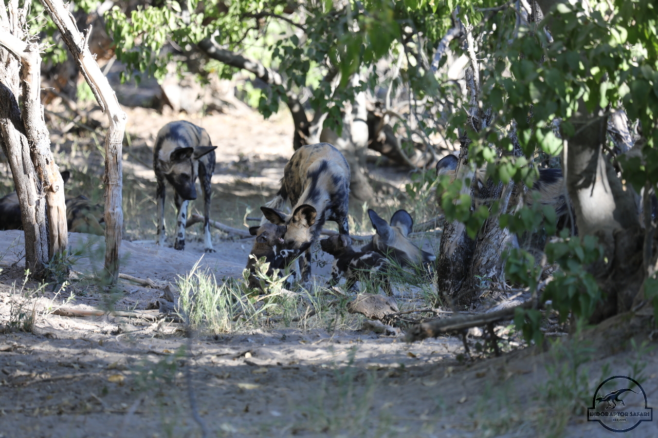 [1250] 2019_06_22_21_43_57_Africa_Canon_EOS_5D_Mark_IV_IMG_0003365_00552.jpg