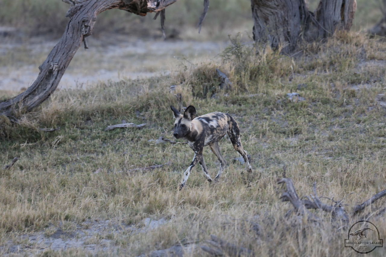 [1256] 2019_06_22_22_47_05_Africa_Canon_EOS_5D_Mark_IV_IMG_0003589_00555.jpg